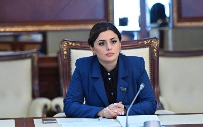 "Çoxvektorlu xarici siyasət Azərbaycanı yeni beynəlxalq nizamda mühüm oyunçulardan birinə çevirir" - ŞƏRH