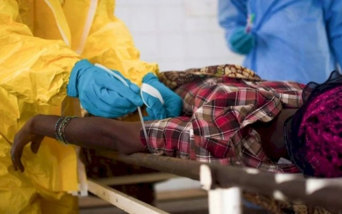 Afrikada vəba epidemiyası: 14 ölkəyə yayıldı
