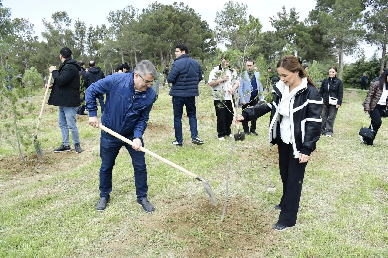 YAP Heydər Əliyevin 103 illiyi ilə əlaqədar ağacəkmə aksiyası keçirdi - FOTOLAR