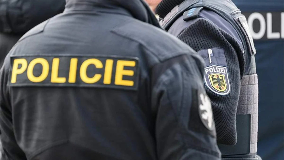 Çexiyada ana yeni doğulmuş körpəsini itlərə yedirdib