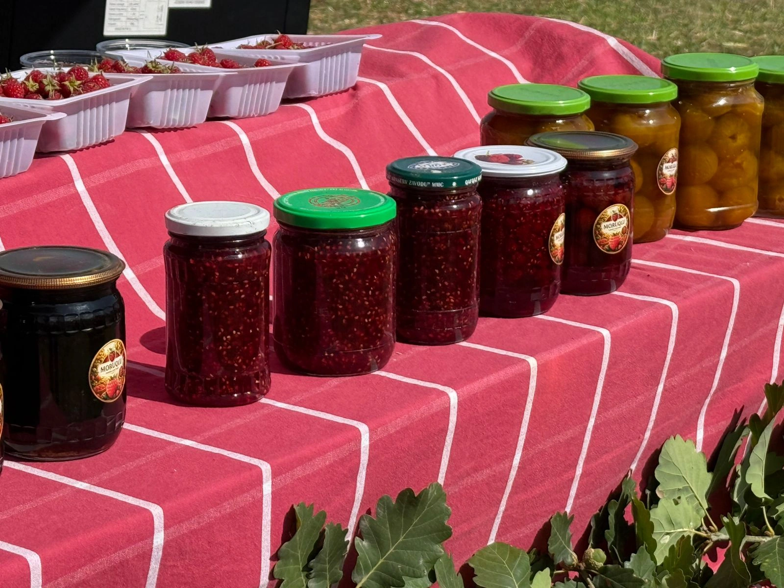 Göygöldə "Aqrar Biznes Festivalı" və "III Moruq festivalı" keçirilir - FOTO