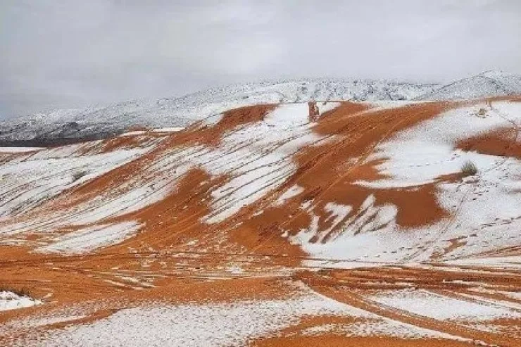 Sahara səhrasına 40 ildə yeddinci dəfə qar yağdı - FOTO