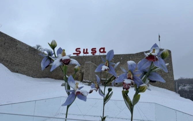 Şuşa bu gün... - FOTOLAR