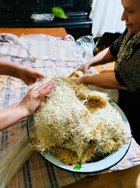 Novruzun şirin mirası – səməni halvası - FOTOLAR