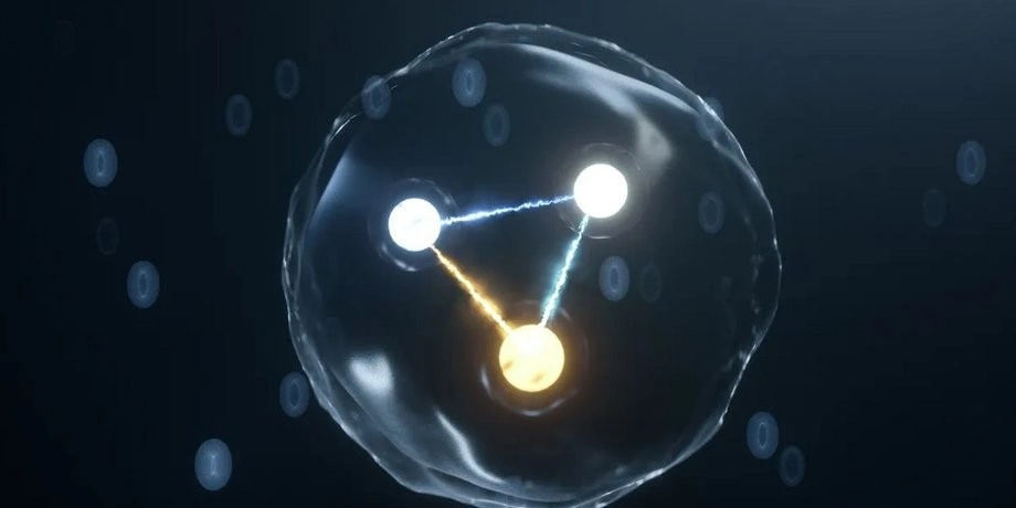 Fiziklər yeni bir elementar zərrəcik kəşf etdi: o, yalnız güc daşıyıcılarından ibarətdir...-ARAŞDIRMA