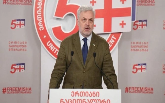 Gürcüstanda vətənə xəyanətdə ittiham olunan müxalifət lideri saxlanılıb