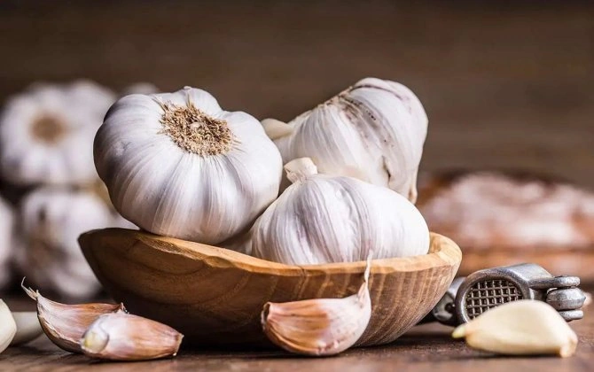 Viruslara qarşı qalxan: Gündə neçə diş sarımsaq yemək olar?