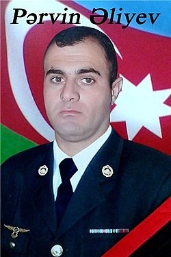Oğlunun şəhid olduğu gün dünyasını dəyişdi - FOTO