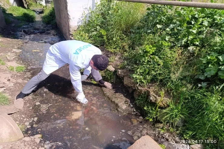 Toyuqları kəsib qanını Xəzərə axıdanlar CƏZALANDIRILDI - FOTO