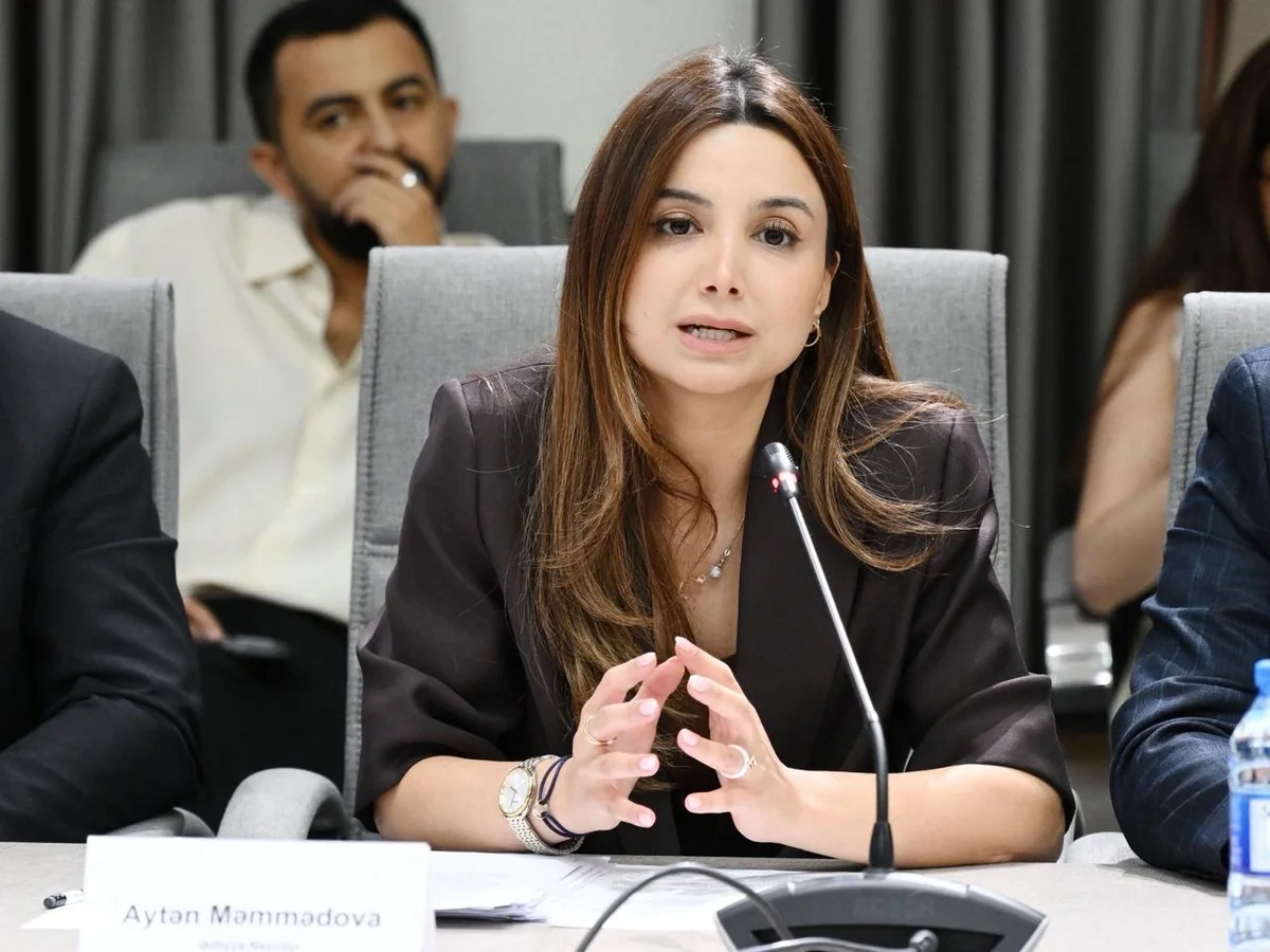 MEDİA-da uşaqların zərərli informasiyadan qorunmasına dair qanun layihəsi müzakirə olundu - FOTO