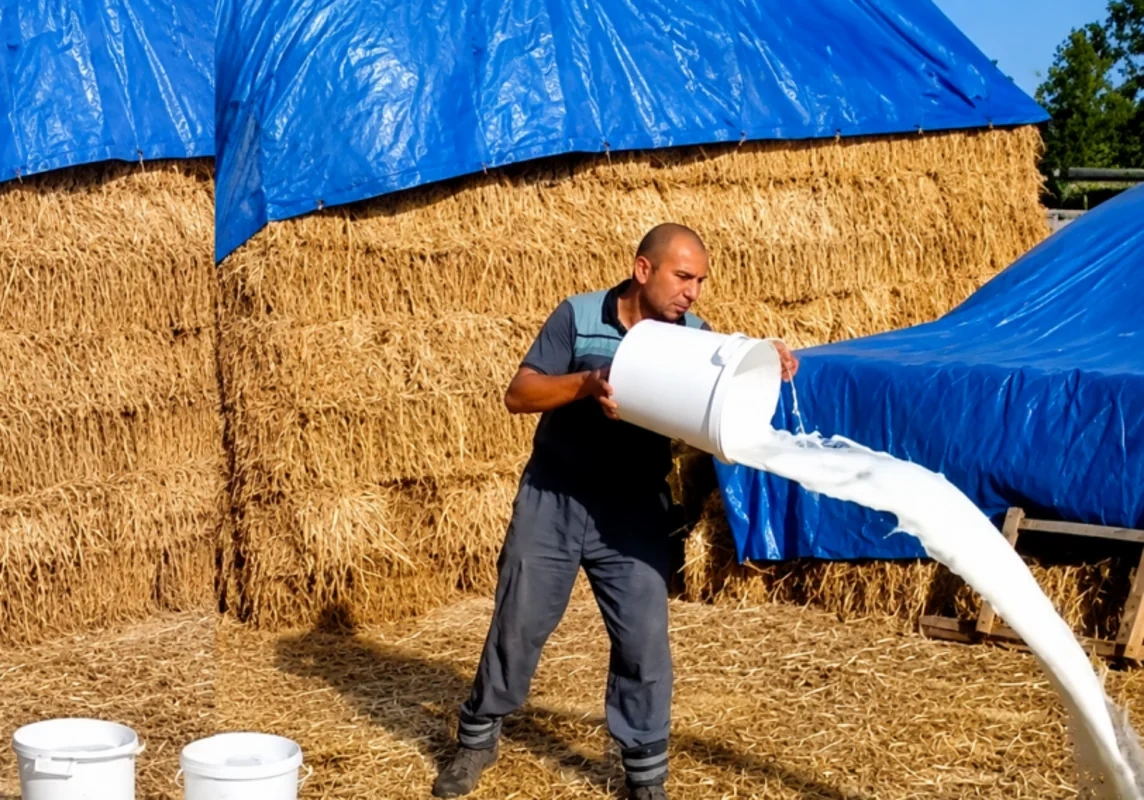 Fermerlər niyə məhsullarını aşağı qiymətə satmağa məcbur qalırlar? - Həll yolu nədir?