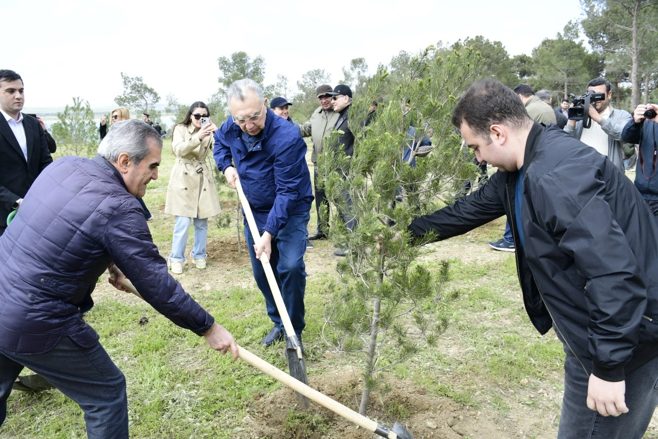 YAP Heydər Əliyevin 103 illiyi ilə əlaqədar ağacəkmə aksiyası keçirdi - FOTOLAR