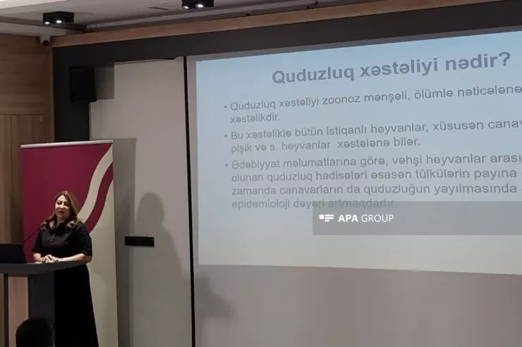Azərbaycanda 1 nəfərdə quduzluq müşahidə edildi - FOTO