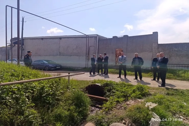 Toyuqları kəsib qanını Xəzərə axıdanlar CƏZALANDIRILDI - FOTO
