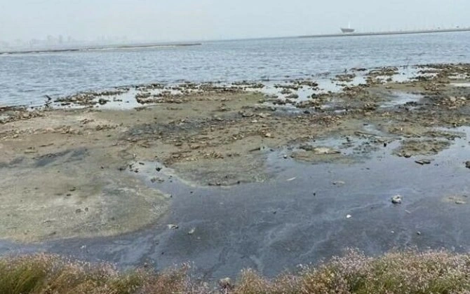 Xəzəryanı ölkələr "iqlim qaçqınları" ilə üzləşə bilər