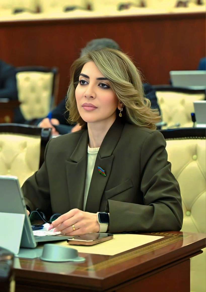 Azərbaycanda boşanmalar artır, doğuşlar azalır - Niyə çoxuşaqlılıqdan uzaqlaşırıq?