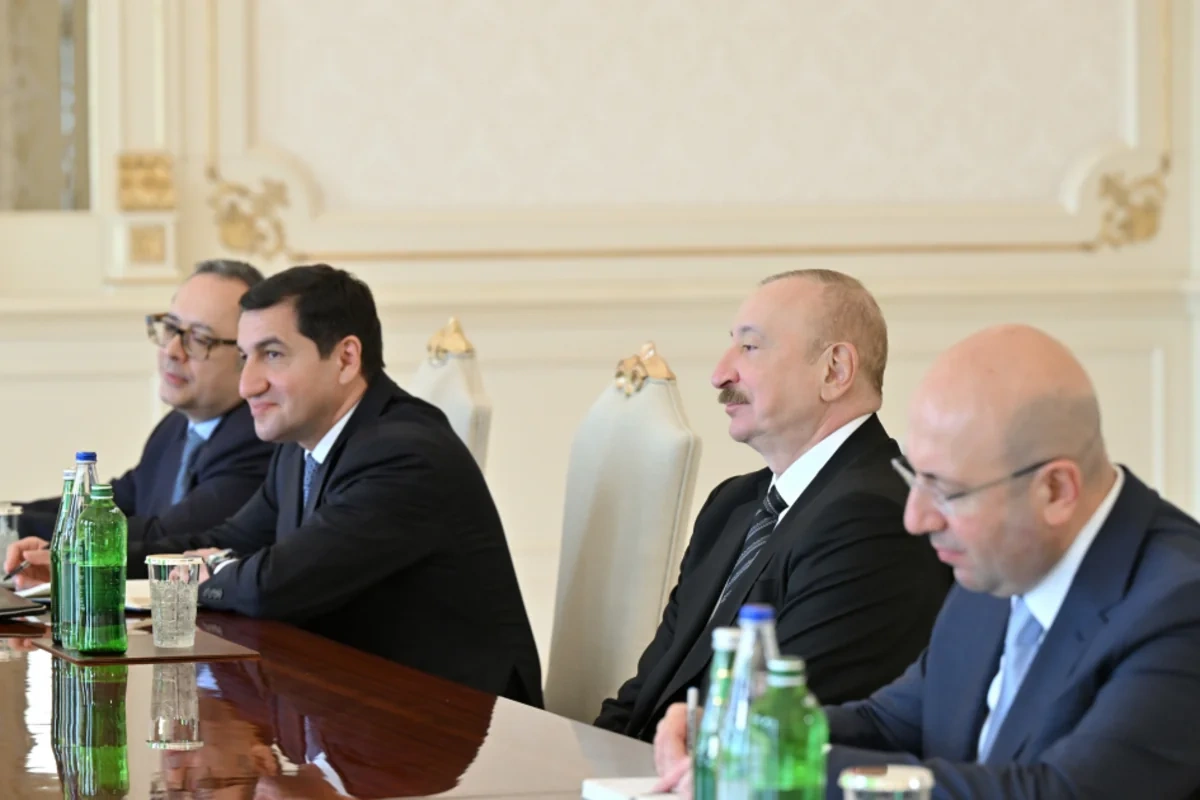 İlham Əliyev BMT-nin Məskunlaşma Proqramının icraçı direktorunu qəbul edib - FOTO