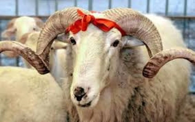 Qurban bayramında bunları etməyin!