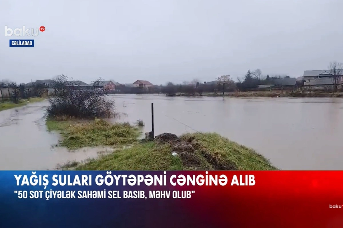 Cəlilabadda əkin sahələri su altında qalıb: "Bir azdan küçələri də sel basacaq" - VİDEO