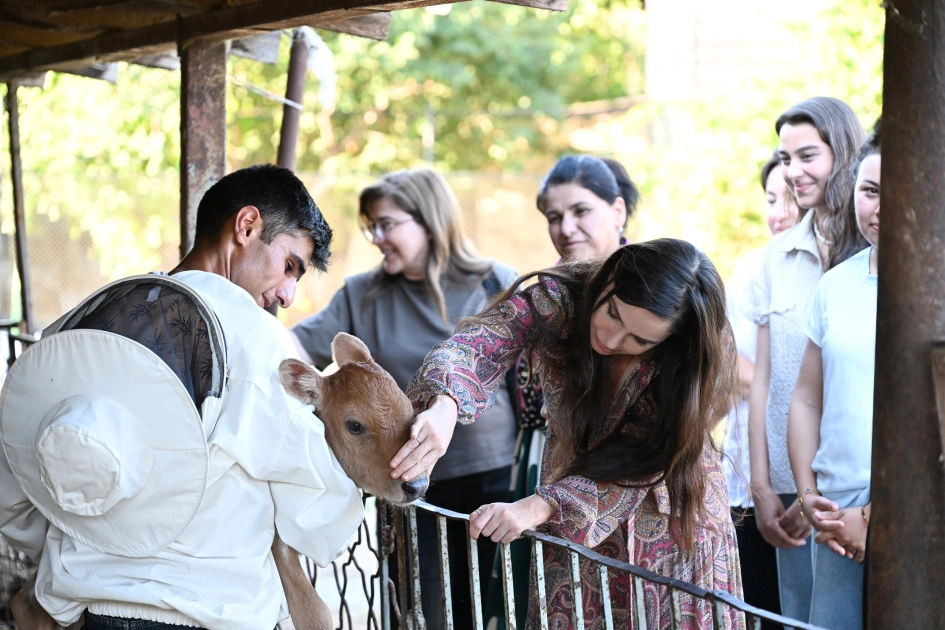 Leyla Əliyeva Yevlaxda “Gənc arıçı” layihəsinin iştirakçısı ilə görüşdü – FOTO