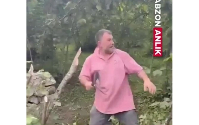 Türkiyədə kəndçilər dəliyə döndü - Fındıq ağaclarını baltaladılar - VİDEO