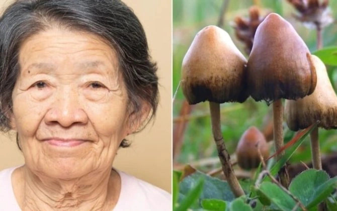 5 il danışmayan Alzheimer xəstəsində ŞOK dəyişiklik: Alimlər HEYRƏTƏ GƏLDİ