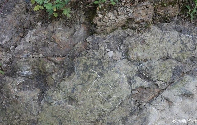 Çində 200 milyon illik dinozavr izləri aşkarlandı - FOTO