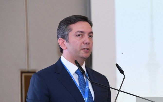 "Azərbaycan Afrika qitəsindəki 54 dövlətin hər biri ilə diplomatik münasibətlərə malikdir" - Yalçın Rəfiyev