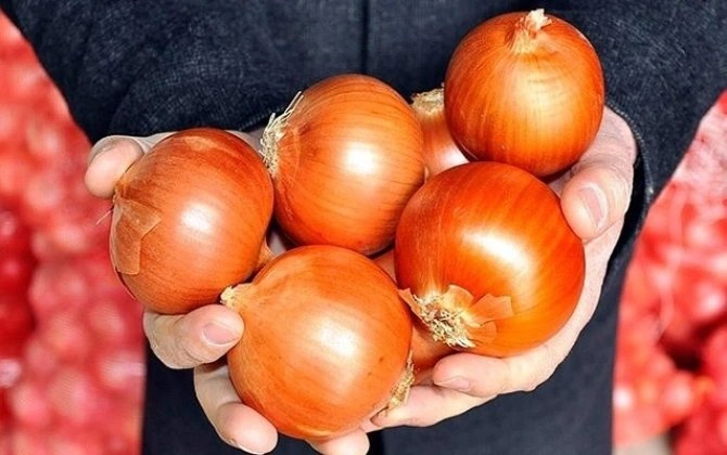 Sahədə soğan yığarkən öldü