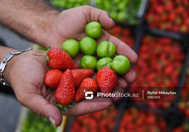 "Gözlənilən nəticəni vermədi" - Mövsümi meyvələr niyə BAHALAŞDI? - FOTO
