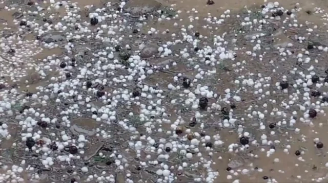Lənkəranın bir sıra kəndlərinə dolu düşüb - FOTO