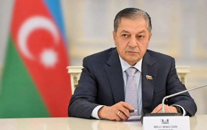 “Qlobal çağırışlar qarşısında İslam dünyasının həmrəyliyi zəruridir” - Millət vəkili
