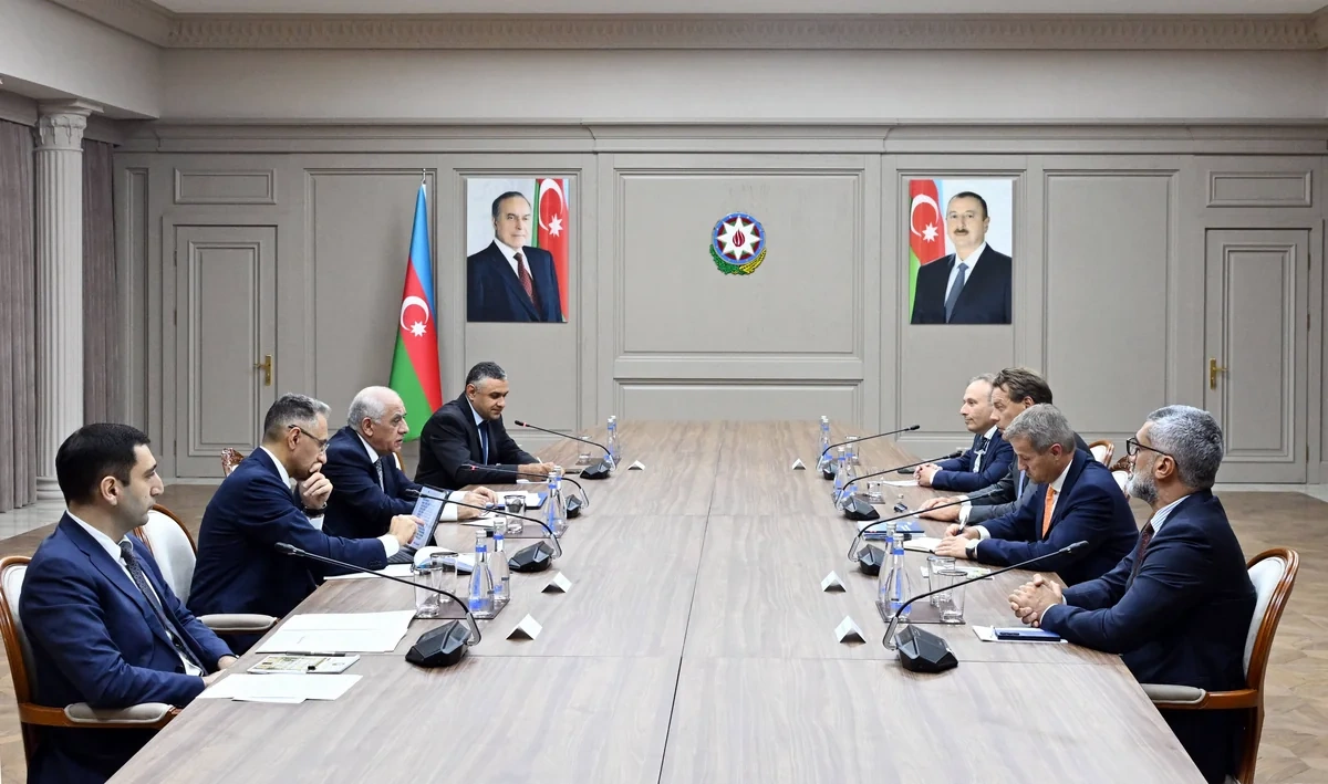 Əli Əsədov "Damen Shipyards Group" şirkətinin baş icraçı direktoru ilə görüşüb