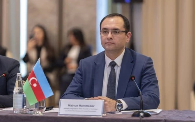 Məcnun Məmmədov şöbə müdiri də təyin etdi - FOTO