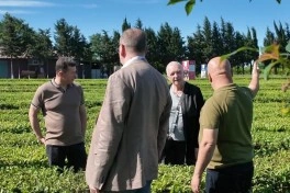 Polşalı nümayəndələr WUF13 çərçivəsində Lənkəranda olublar - FOTO