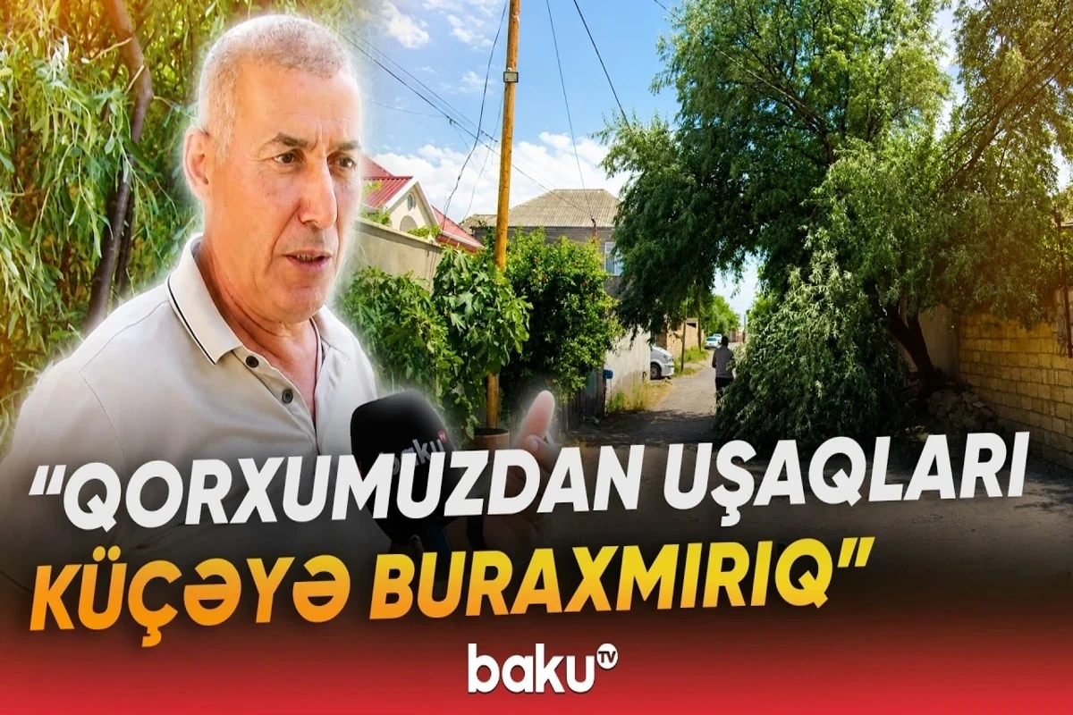 Sarayda təhlükəli vəziyyət: Uşaqlar həyətə buraxılmırlar - VİDEO