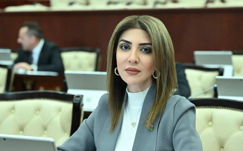 “Uşaqpulu verilsə ailələr 3-dən çox uşaq dünyaya gətirər, imkansızlıqdan istəmirlər”