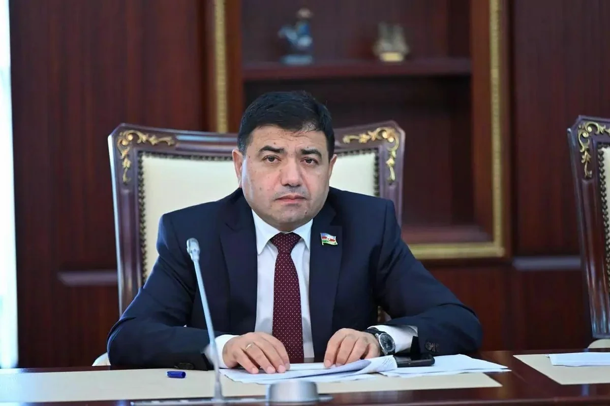 "Okamponun ifşası böyük bir qərəzli şəbəkənin üstünün açılmasının ilkin mərhələsidir" - RƏY