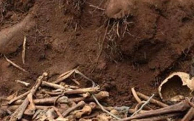 Ağdamda qazıntı zamanı insan sümükləri tapıldı