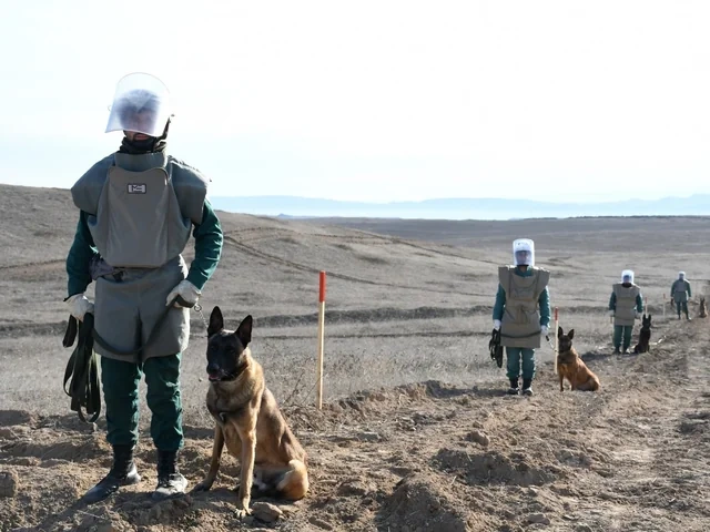 Mina təhlükəsi: Humanitar böhran, sosial-iqtisadi çağırış və beynəlxalq əməkdaşlıq zərurəti