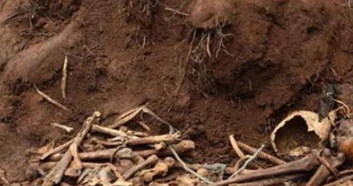 Ağdamda qazıntı zamanı skelet qalıqları aşkarlanıb