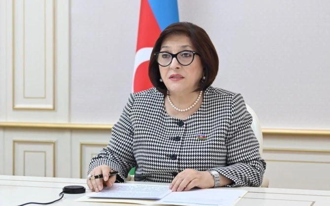 Sahibə Qafarova Pİ-nin konfransında Ermənistanın işğalı nəticəsində ətraf mühitə vurulan ziyandan danışıb