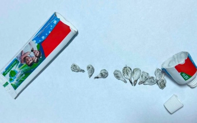 Təcridxanaya diş məcununun içində marixuana keçirmək istədi