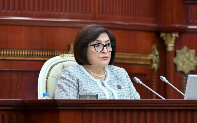 Sahibə Qafarova parlamentin fəaliyyətindən danışdı