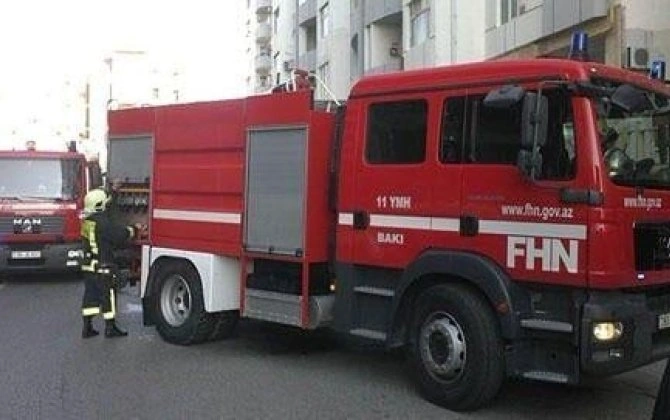 Tanınmış blogerin başına iş gəldi - FOTO