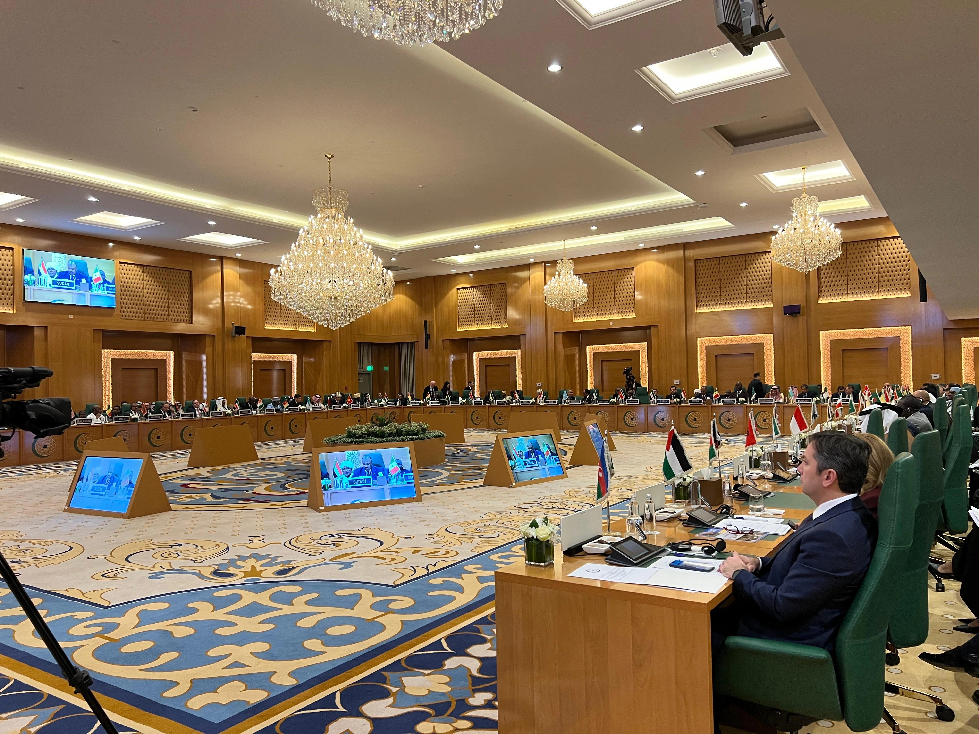 Yalçın Rəfiyev İƏT-in Somali ilə bağlı fövqəladə iclasında iştirak edib - FOTO