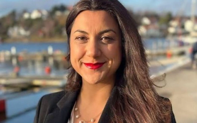 İsveçdə keçiriləcək seçkilərdə azərbaycanəsilli namizədlər də mübarizə aparacaq - FOTO