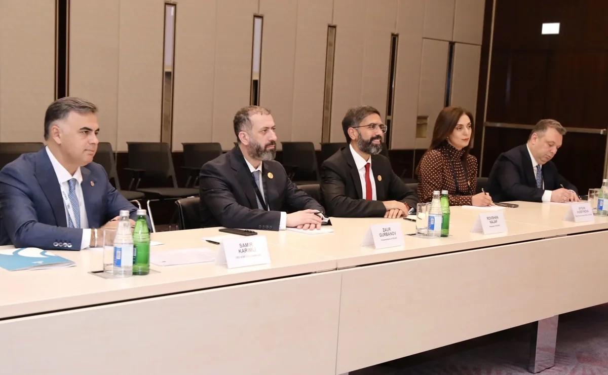 SOCAR ABŞ şirkəti ilə "yaşıl enerji" keçidində əməkdaşlıq edə bilər - FOTO