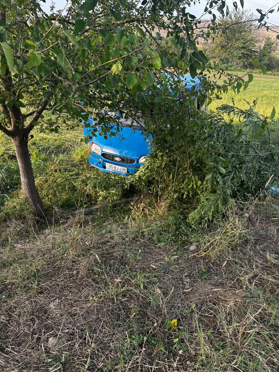 Ağstafada "Ford" ağaca çırpıldı - Xəsarət alanlar var - FOTO