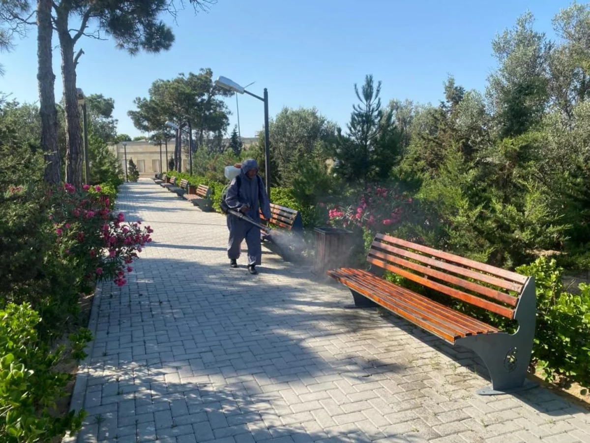 Bakıda növbəti daxili iməclik keçirilib - FOTOLAR